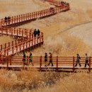 배내골사과정보화마을 이미지