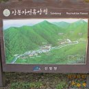 휴양림약수 이미지