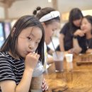 일박이일 Daum카페