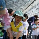 빛초롱어린이집 이미지