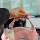 한우소머리국밥 | 청주 오송 민속촌소머리국밥 - 국내산 김치가 맛있는 한우 소머리국밥 내돈내산 솔직후기