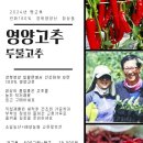 태양방앗간 이미지