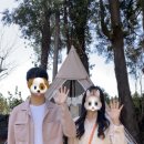 모레기동타잔 | 서귀포 카페 추천 : 모레기동타잔, 정원이 너무 예쁜 카페