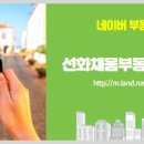 채움 공인중개사사무소 네이버블로그