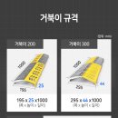 느린거북이 이미지