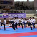 대학태권도체육관 이미지