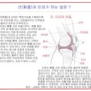 슬(무릎)관절 주위의 활액낭들 이미지