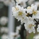 지산이불