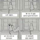 나만 없어 고양이 이미지