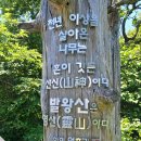 0615(월) 美國, 이란 전쟁 종전 합의 이미지