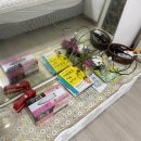 그랜드모텔 이미지