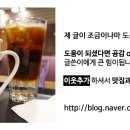 커피나무 꽃향기 이미지