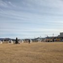 애견천국 | 부산애견카페 후기｜강아지 천국이라 불리는 이유 있었어요 🐶