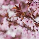 현자동차서비스 이미지