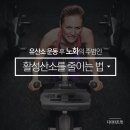 운동할때 노화의 주범인 활성산소 줄이는 방법! 이미지