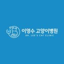 이영수 고양이 병원 이미지