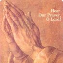 푸르고드림 이미지