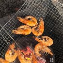 춘천스테이 이미지