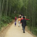 담양체육관 이미지