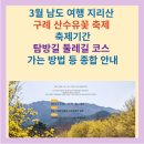 월계힐링펜션 | 3월 남도 여행, 지리산 구례 산수유꽃 축제 기간/탐방길 둘레길 코스 가는 방법 등 종합 안내