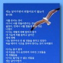 새는 날아가면서 뒤돌아보지 않는다 - 류시화 이미지