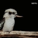 들꽃요양원 이미지