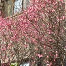 무등도서관 이미지