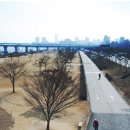 ﻿한국 최고의 자전거도로 네트위크 - 서울 한강 자전거도로망 이미지