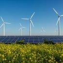 한국 태양광발전소 이미지