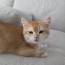 수청포근동물병원 이미지