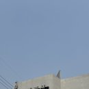 서예 | [용인맛집] 정갈한 한 상 차림이 감동이었던 '서예정식' 내돈내산 후기 🌿