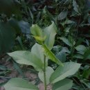 재용목장 이미지