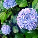 개포4-105 이미지