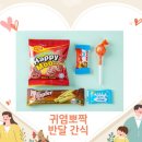 초코인터내셔널 주식회사 이미지