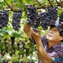 최정용 농장 이미지