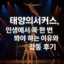 우리음악 이해하기 | 태양의서커스, 인생에서 꼭 한 번 봐야 하는 이유와 감동 후기