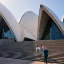 시드니(1) 이미지