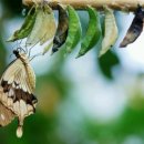 소계평생교육센터 이미지