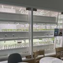 건강해진팜 | 마곡나루 샌드위치 맛집 매장에서 키운 채소로 만드는 해피팜카페