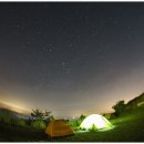 동부축산