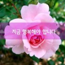 3월 22일(금) 행복을 벌자 이미지