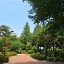 당산근린공원 공영주차장 네이버블로그