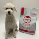 원덴탈랩(One Dental lab) | 강아지 저알러지사료 [뉴트리나 원데이케어] 파이토랩