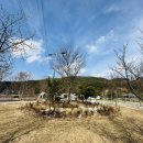 정선 아리랑 농원 이미지