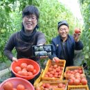 창조농장 이미지