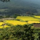 슬로시티청산도 세계일보