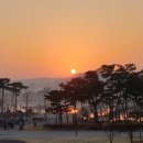 대평동_금강변길 이미지