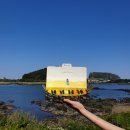 돌카롱성산 | 제주 성산일출봉 카페 돌카롱 방문 후기