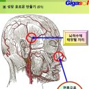 웅덩이와 호수~성장 호르몬 분비 이미지