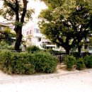 휴천리지석및입석 이미지